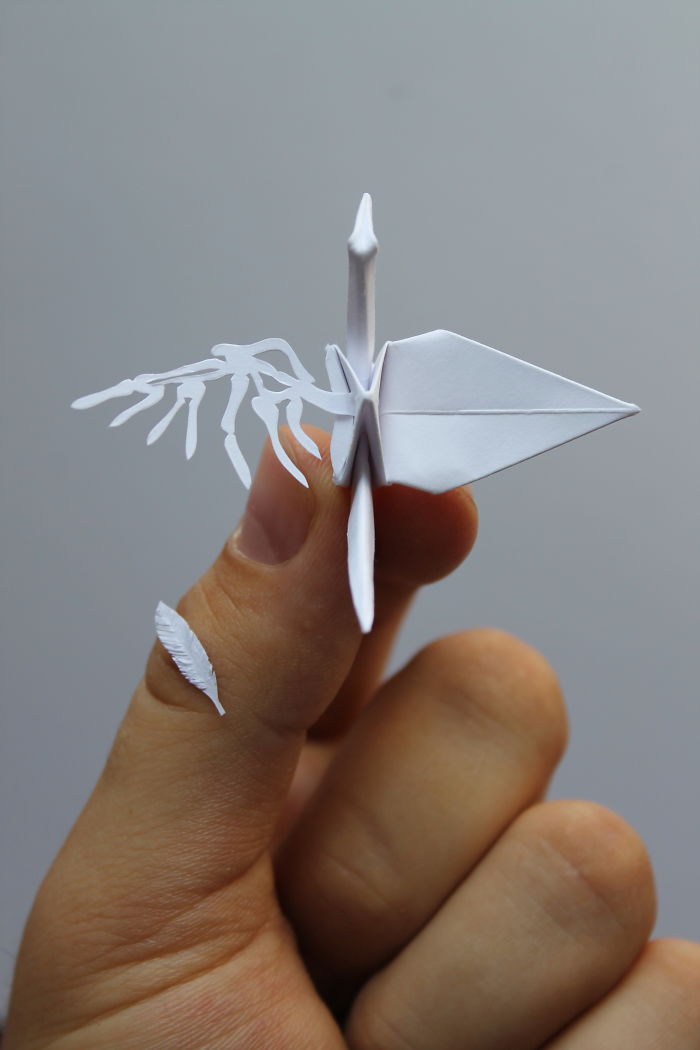 I Folded And Decorated An Origami Crane Every Day, For 1000 Days