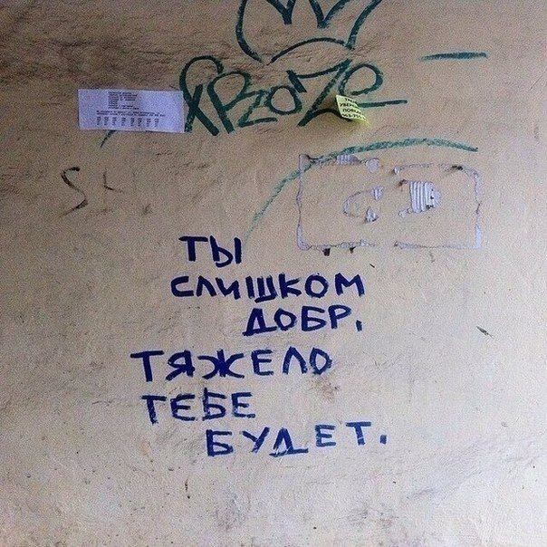 Еноты и не только.. Фото-приколы! Смешные прикольные картинки, фото приколы