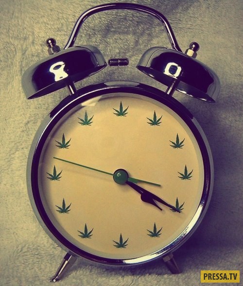 4 20 картинки