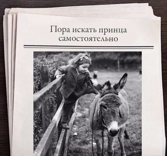 Свежие картинки с надписями 