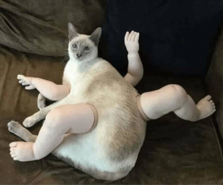 Подборка прикольных картинок Подборка прикольных картинок приколы,смешные картинки,юмор