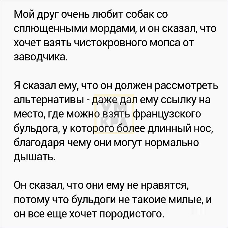 Парень хотел завести мопса, но его друг сравнил черепа собак, доказав, что это жестоко мопсы,наши питомцы,собаки,увлечения