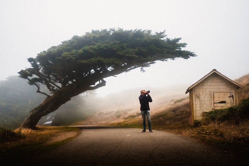 Забавные картинки для хорошего настроения Забавные картинки для хорошего настроения животные,жизнь,звери,земля,котики,коты,курьезы,мир,питомцы,планета,приколы,природа,смешное,собаки,факты,фауна,флора,щенки,юмор