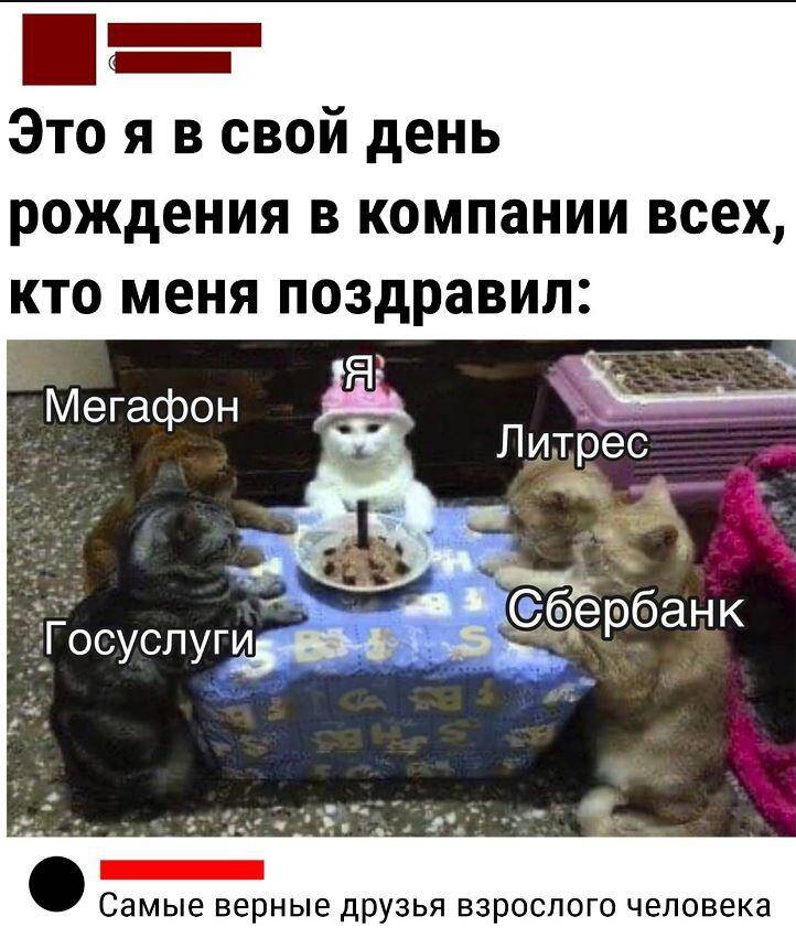 Смешные картинки с надписями (10)