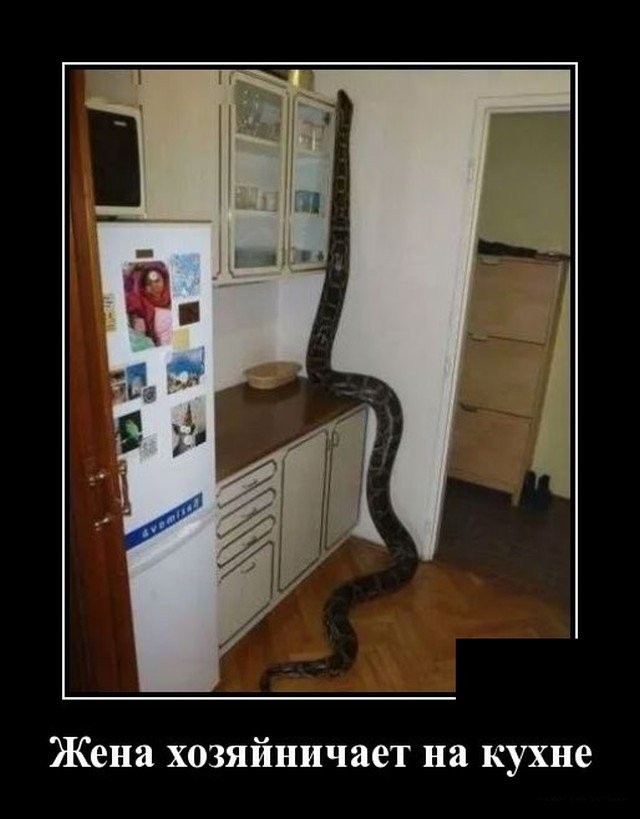 Демотиваторы. Максимальный эффект Демотиваторы. Максимальный эффект