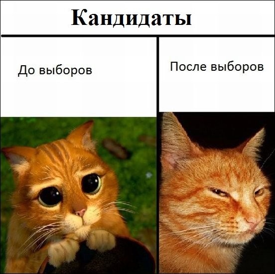 Улыбательные картинки картинки, прикол., фото