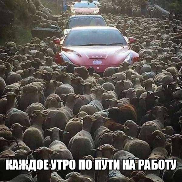 ПОЗИТИВНЫЙ ПОСТ+ 199