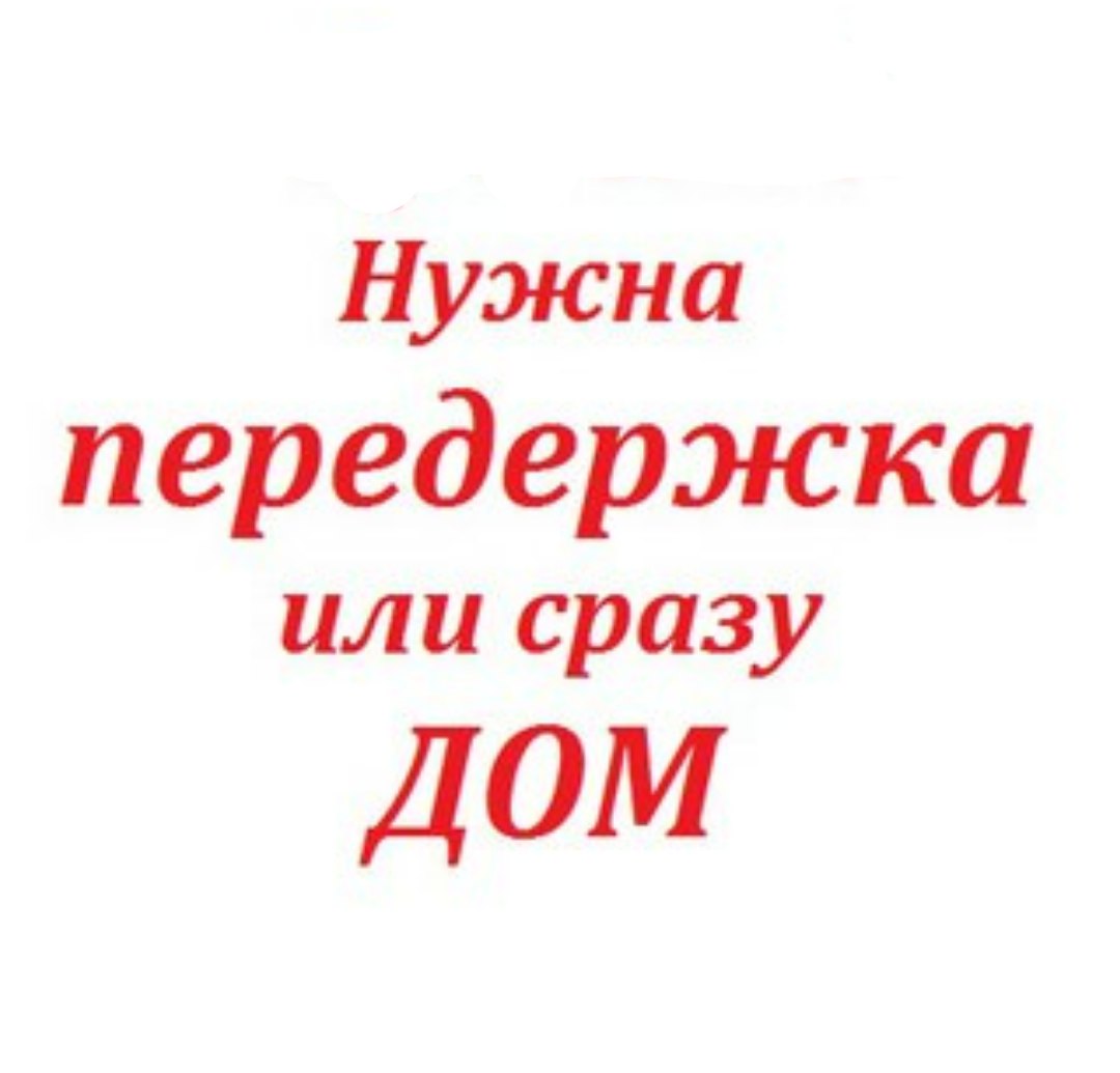 Ищу помощь. Нужна передержка или дом. Срочно нужна передержка или дом. Срочно нужна передержка или сразу дом. Передержка или сразу дом.