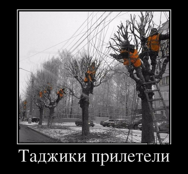 Таджики прилетели демотиватор, юмор