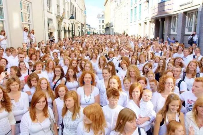Подборка смешных фотографий и прикольных картинок (11 фото)