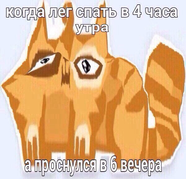 Смешные картинки с надписями прикол, юмор