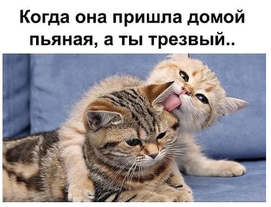 В Москве открыли еще одну кольцевую линию метро. Такое ощущение, что кто-то рисует огромную мишень В Москве открыли еще одну кольцевую линию метро. Такое ощущение, что кто-то рисует огромную мишень анекдоты,веселые картинки,приколы,юмор