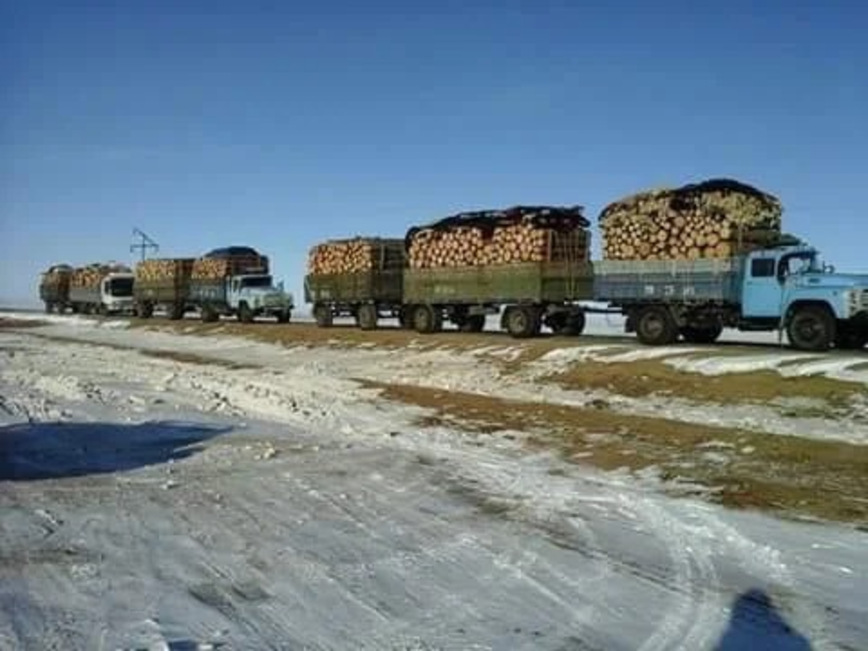 Как возят лес в Монголии авто и мото,автоновости,видео
