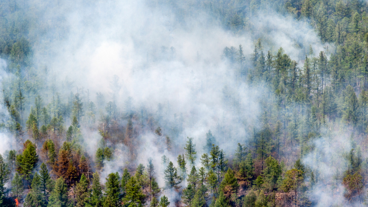 Пока те носятся с #допускай, ребята спасают тайгу. Ночные рейды и военные хитрости тушения пожаров в Сибири