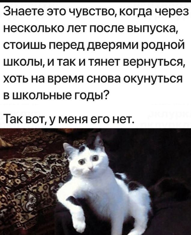 Прикольный юмор в картинках Прикольный юмор в картинках