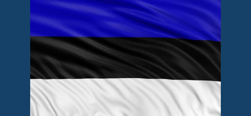 Эстонцы-эсэсовцы освобождали Эстонию?!