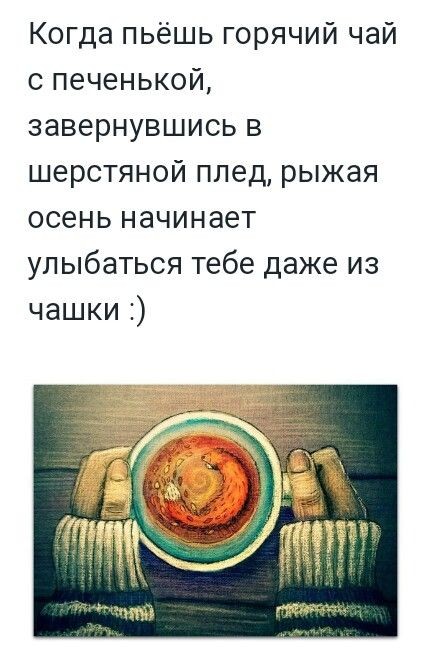 Подборка шуток Подборка шуток