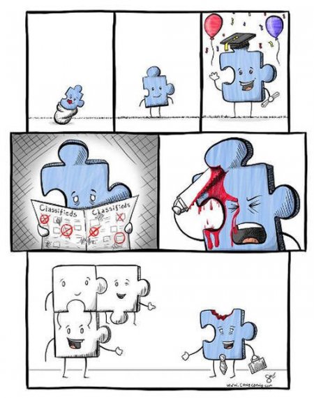 Прикольная фотоподборка (55 фото)