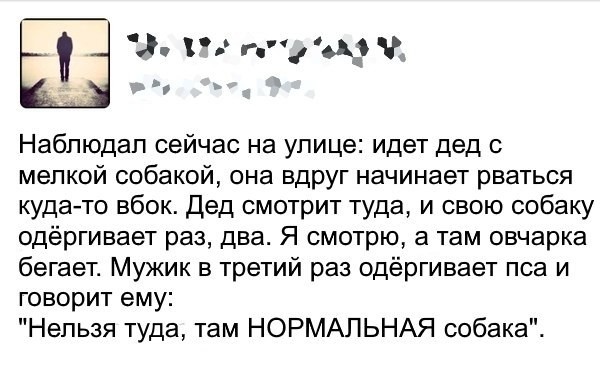 Смешные комментарии и высказывания из социальных сетей высказывания, комментарии, прикол