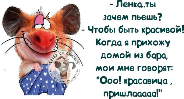 Веселые фразочки в картинках 
