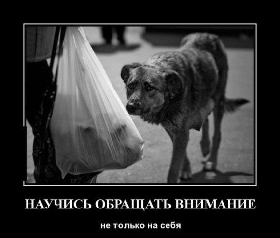 Прикольные демотиваторы дня!