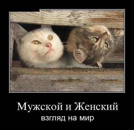 Приколы о женщинах и мужчинах картинки, для