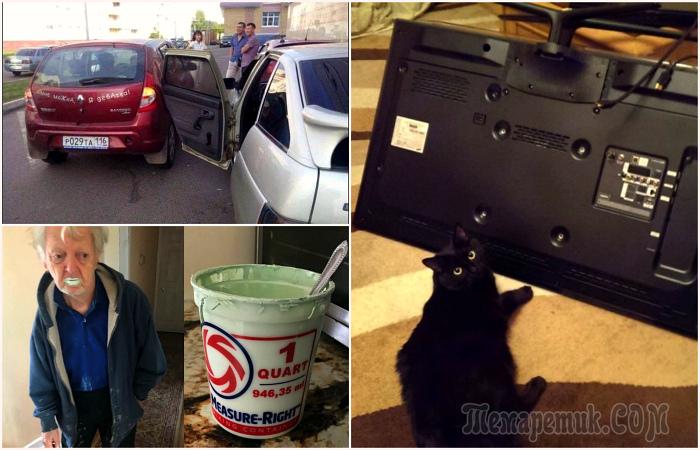 17 случаев, когда люди магнитом притягивали к себе неприятности