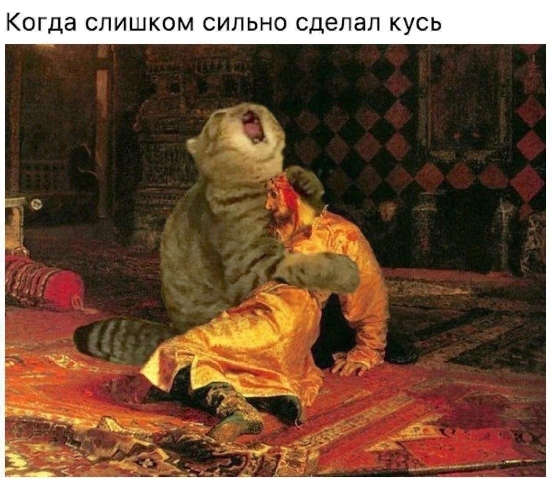 Немножко смешных зверушек... Надёргано , отовсюду