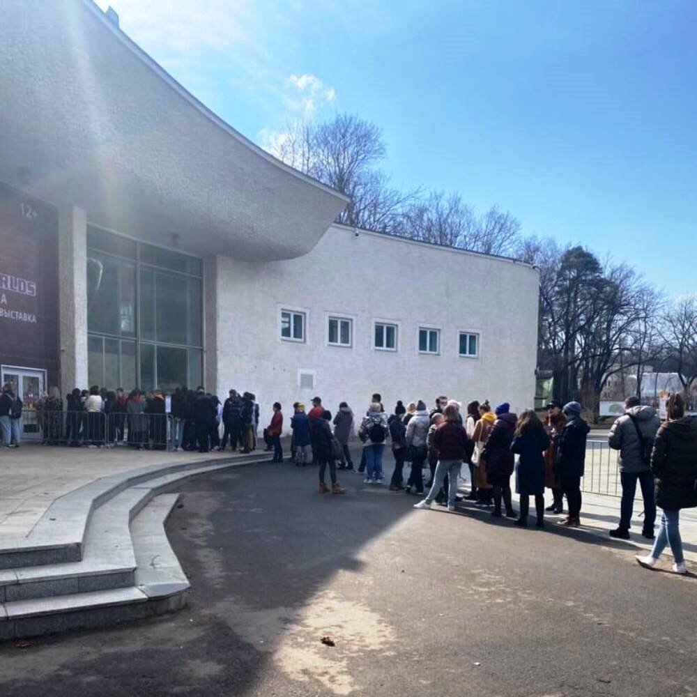 Жаль туркменов, которым запретили стоять в очереди: даже в магазин спокойно не сходить