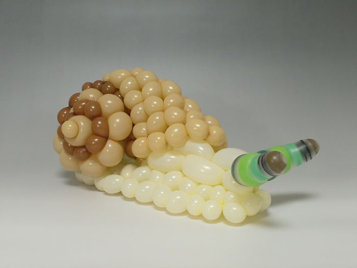 Snail