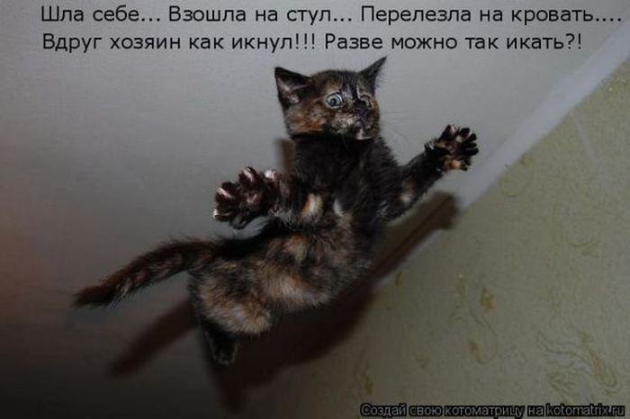 Мысли вслух :)
