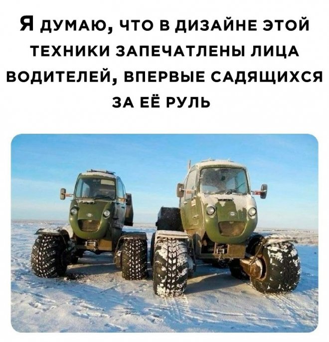 Свежие картинки поднимающие настроение 