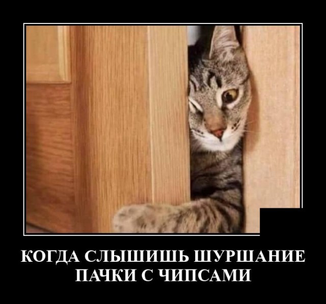 Новые демотиваторы Новые демотиваторы демотиваторы