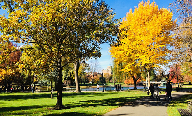 Природный способ замедлить старение: ученые выяснили, что нужно жить в правильном месте