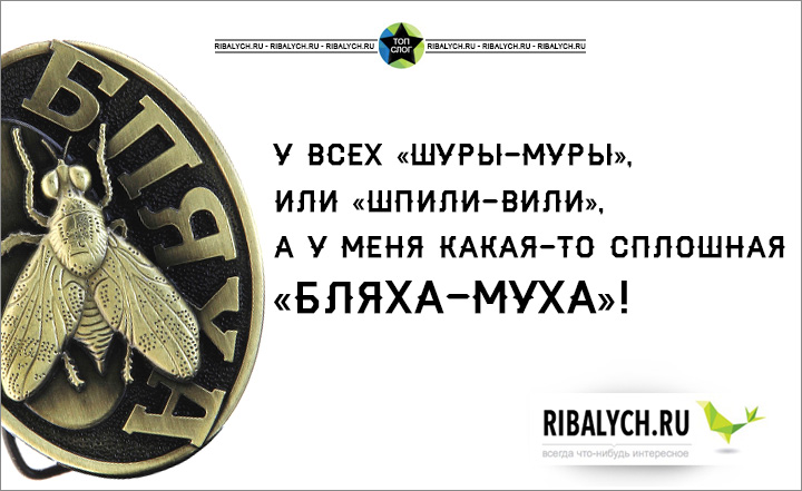 Зверя нет сильнее мухи старый бог. Бляха Муха. Надпись бляха Муха. Бляха- Муха Ешкин кот и. Бляха Муха с анонимусом.