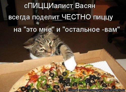 Свежая котоматрица  смешные картинки