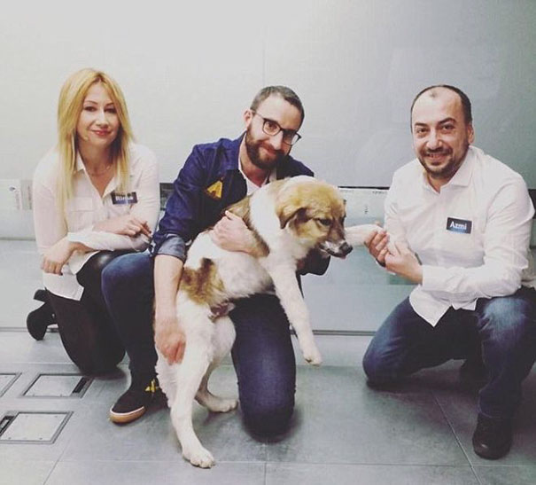 puppy-covered-clue-rescued-pascal-13
