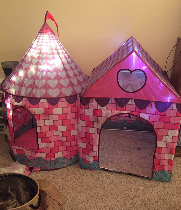 Замок для кошки алкоголь, опьянение, покупка