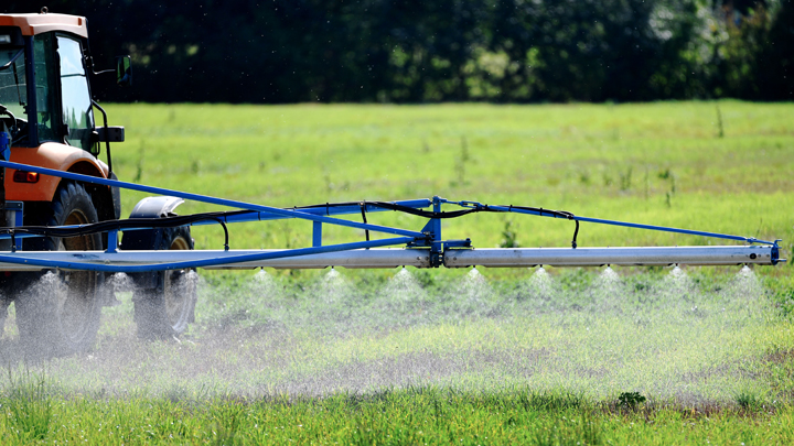Новый ГМО на нашем столе. В России официально разрешено есть больше химикатов геополитика,россия