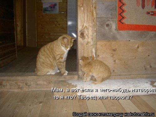 Детская котоматрица (17 шт)