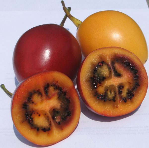 Tamarillos Tamarillos