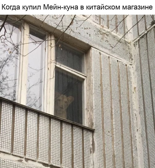 Ночная подборка картинок Ночная подборка картинок приколы,смешные картинки,юмор