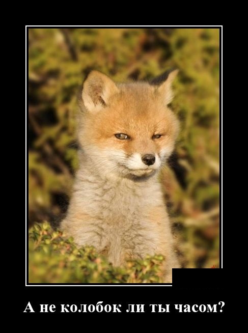 Самые новые демотиваторы Самые новые демотиваторы демотиваторы