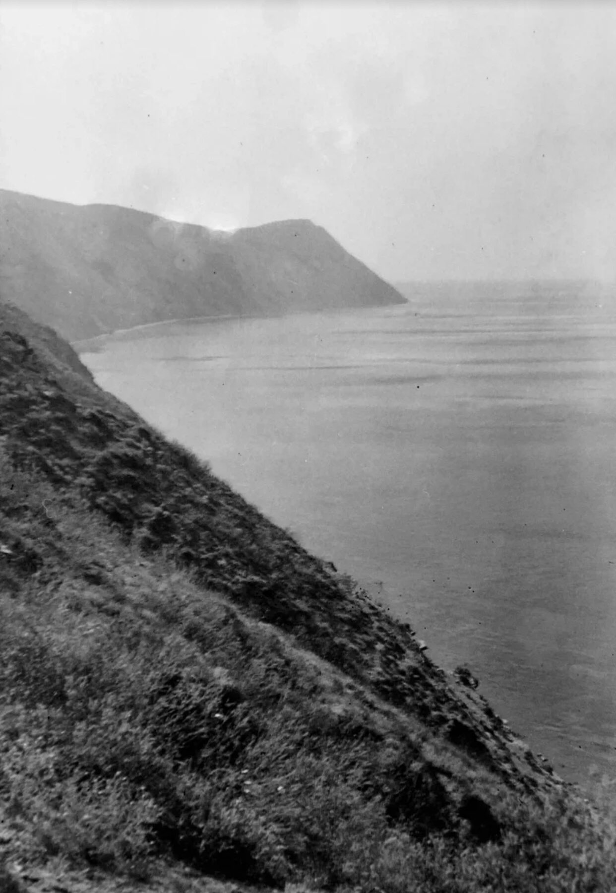 Немец купил старый фотоаппарат и нашел на нем фото оккупированного Новороссийска из 1942 года Культура