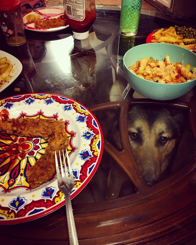 Мимишные фото от которых на душе станет теплее