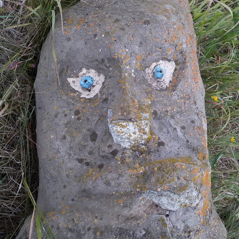     ,  , , , 