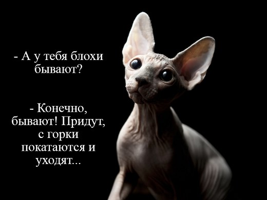 Дождались! Новая подборка юмора 