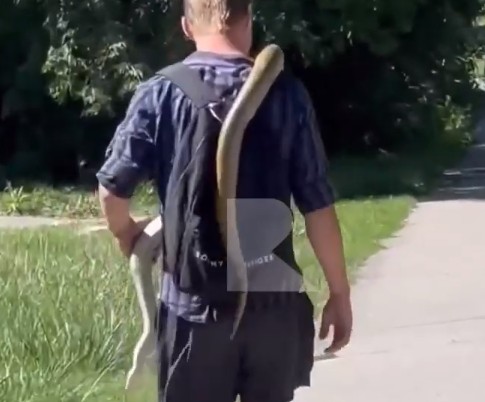 По улице Рязани прошёл мужчина со змеёй на плече