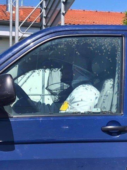 Автоюмор в ассортименте! Автоюмор в ассортименте! смешные картинки