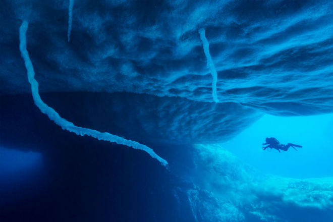 Погружение в подледную бездну у берегов Антарктиды: видео Копли, Антарктиды, глубине, огромной, примеру, лапках, груди, выращивающих, крабов, здесь, встретила, экспедиция, Глубокие, невероятные, бактерий, создания, подводные, условиях, таких, выжить